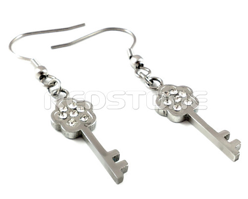 Oceľové náušnice SE5425